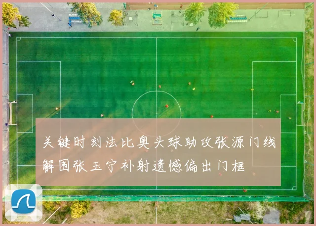 关键时刻法比奥头球助攻张源门线解围张玉宁补射遗憾偏出门框
