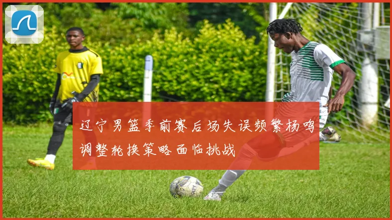 辽宁男篮季前赛后场失误频繁杨鸣调整轮换策略面临挑战